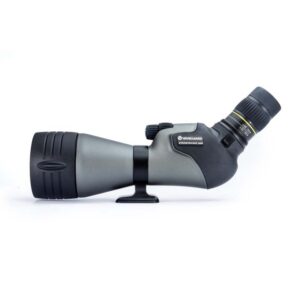 Vanguard Endeavour HD 82A - Cannocchiale lungo angolare