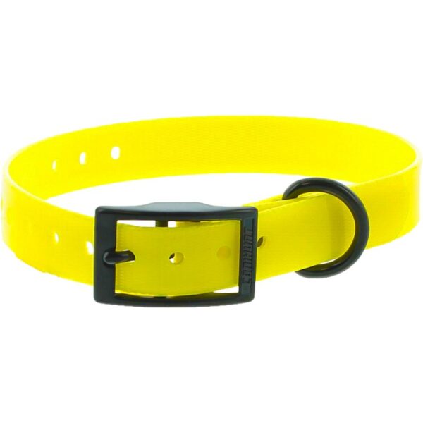 Collarextremesmallinpoliuretano19x025x45cmarancio-4