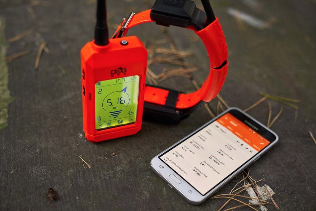 collare gps per cane