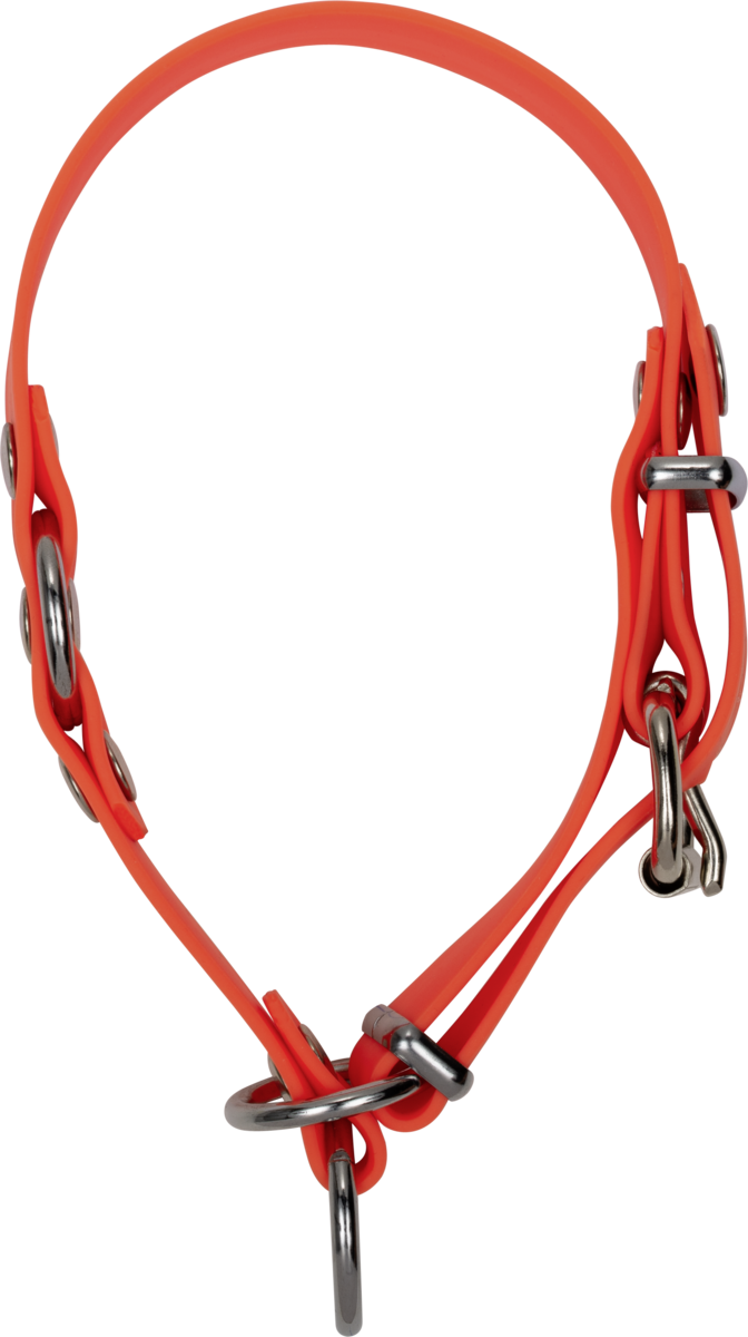 Collare per cani Blaser Professional | Robusto, igienico, regolabile