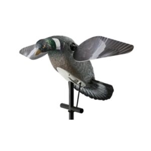 Stampo motorizzato colombaccio LUCKY DUCK Pigeon HD ali girevoli