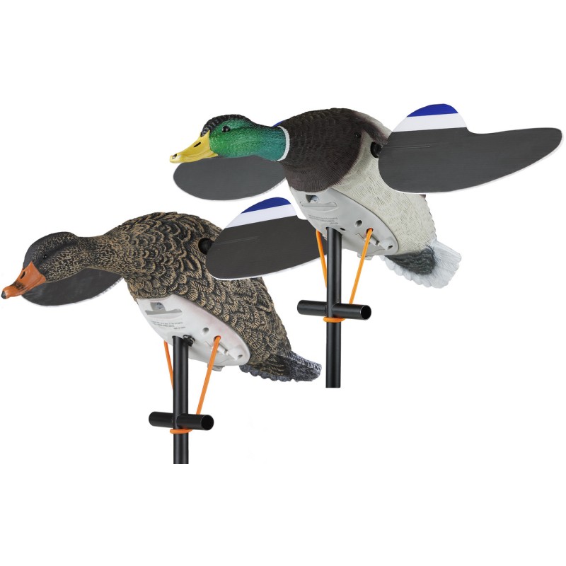 Stampi motorizzati germano LUCKY DUCK Pair maschio e femmina
