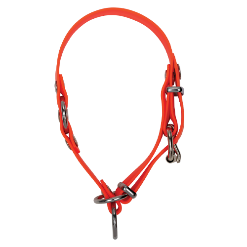 Collare per cani Blaser Professional | Robusto, igienico, regolabile