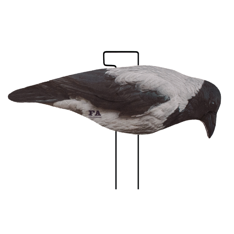 Stampi cornacchia 2D flocked FINAL APPROACH set 12 pezzi