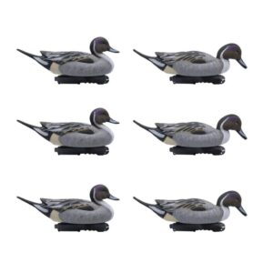 Stampi codone FINAL APPROACH set 6 pezzi maschio full size