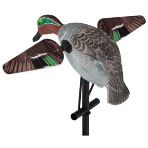 Stampo motorizzato alzavola maschio Lucky Duck ad ali girevoli