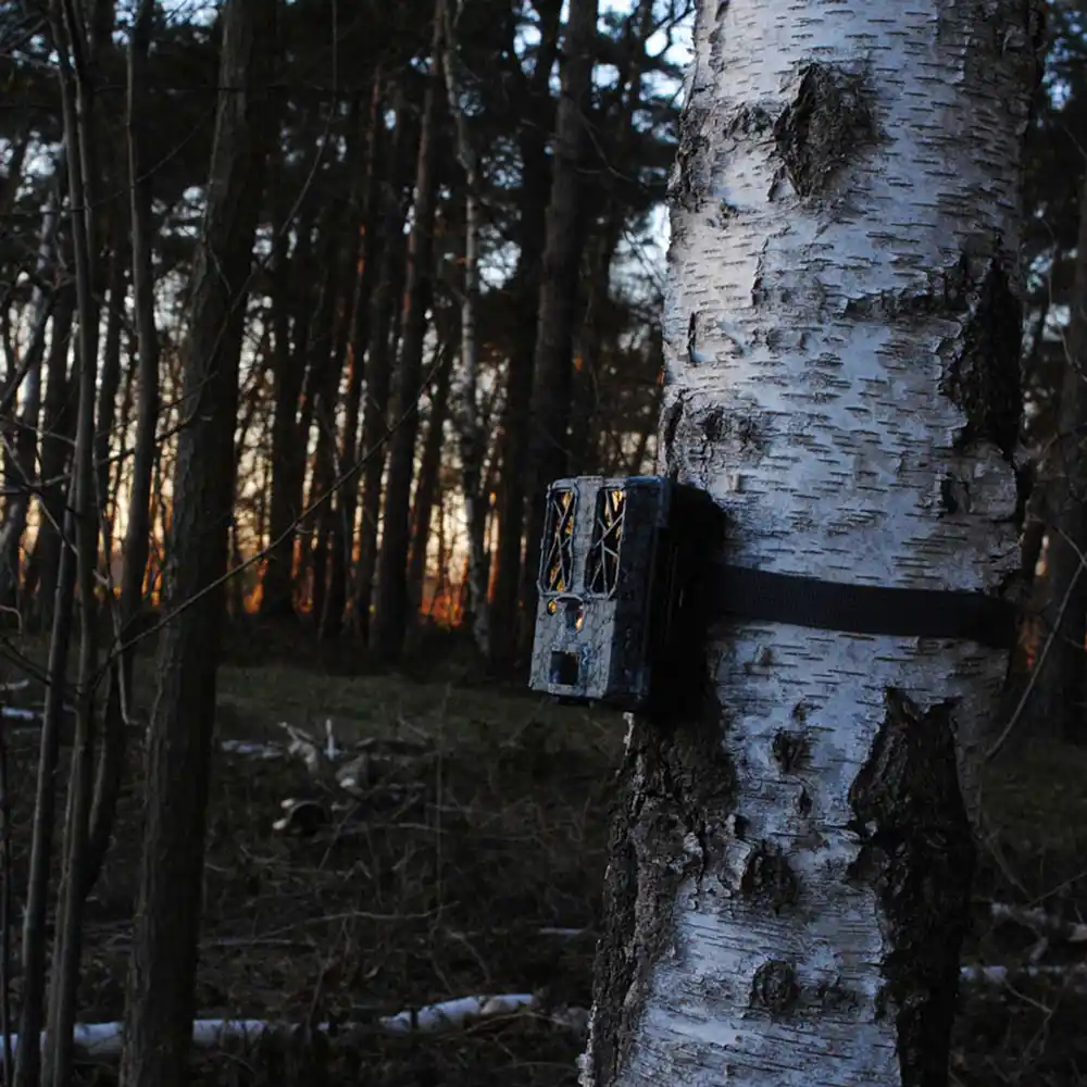 Spypoint Force Pro wildlife camera_08