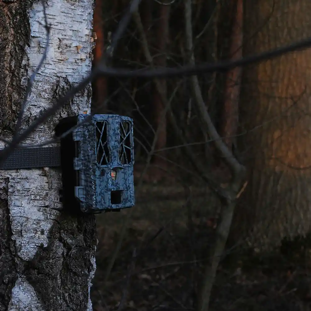 Spypoint Force Pro wildlife camera_09