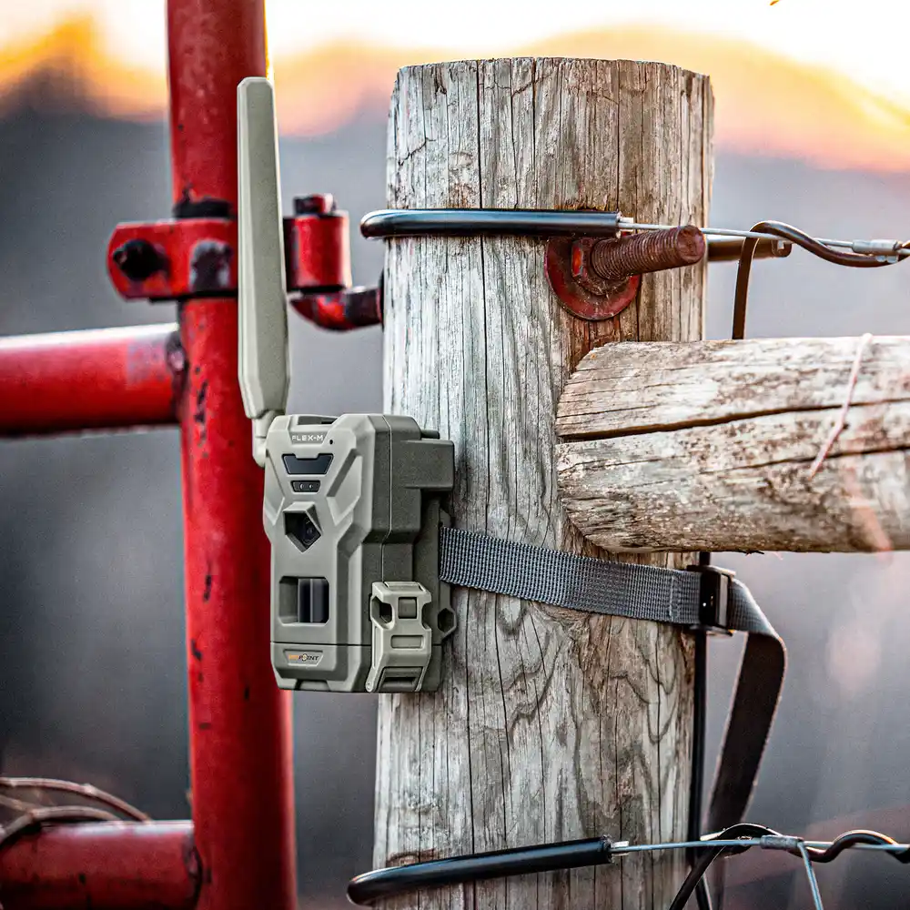 Spypoint Wildlife Camera Flex-M_04