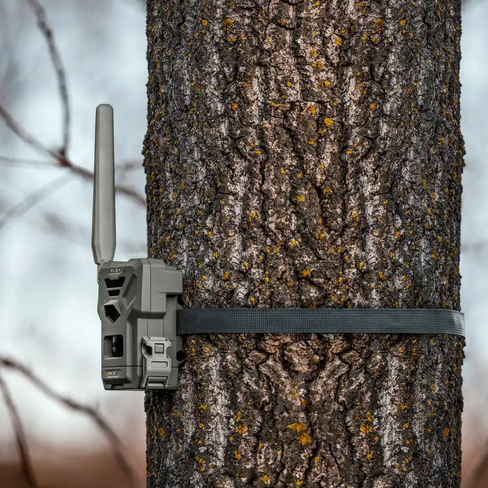 Spypoint Wildlife camera Flex E-36_04