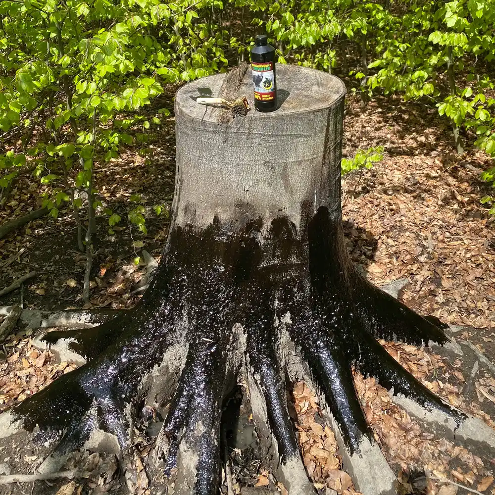 Wildlutscher Attractant pine tar