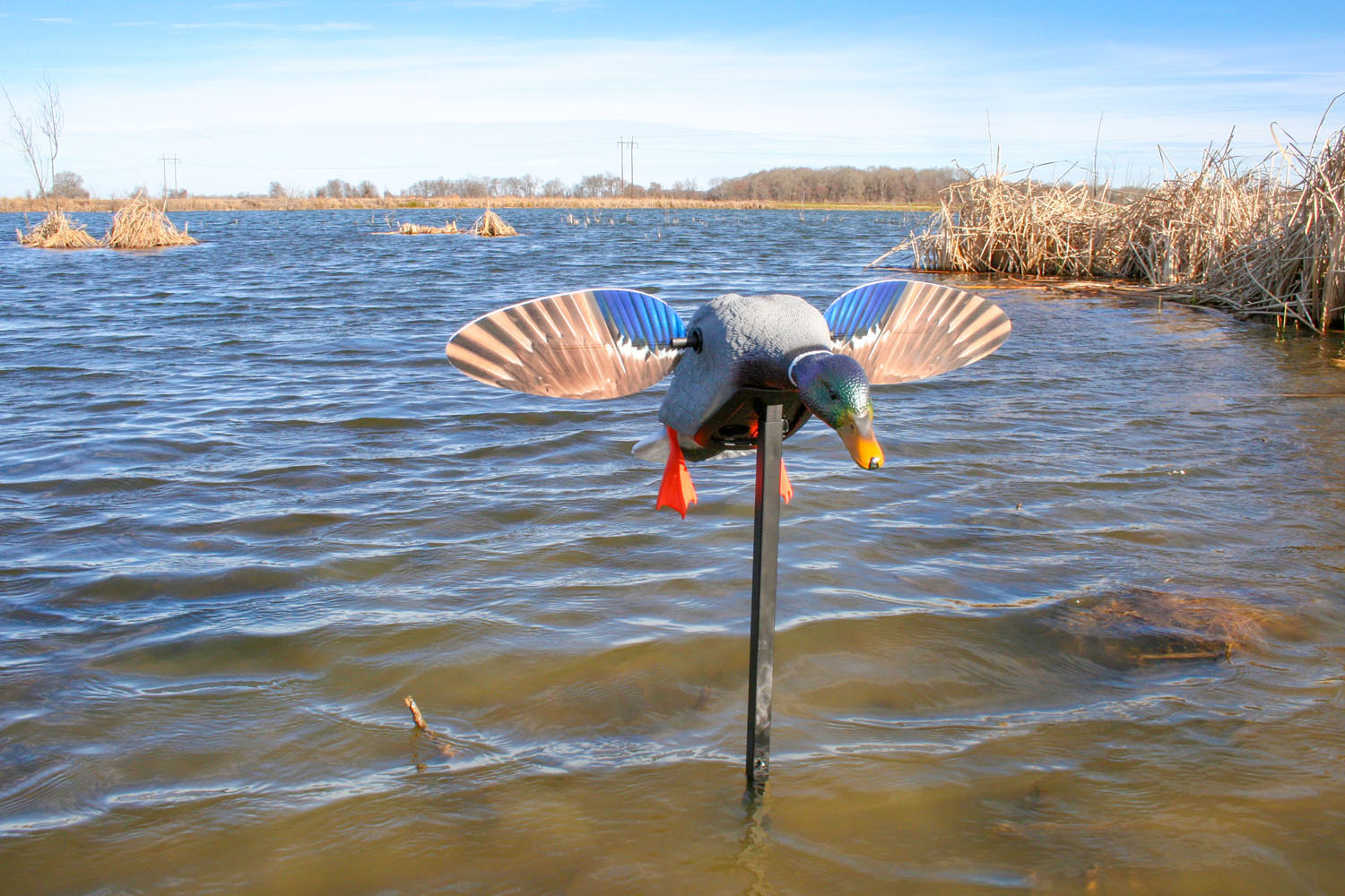 MOJO Elite Series Mini Mallard Drake – Richiamo motorizzato ad ali magnetiche