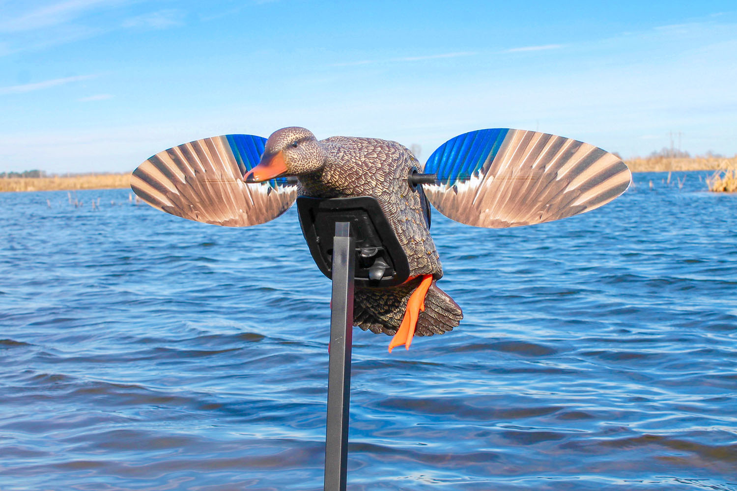 MOJO Elite Series Mini Mallard Hen – Richiamo motorizzato ad ali magnetiche