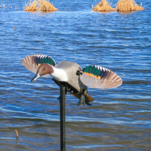 MOJO Elite Series Pintail – Richiamo motorizzato ad ali magnetiche