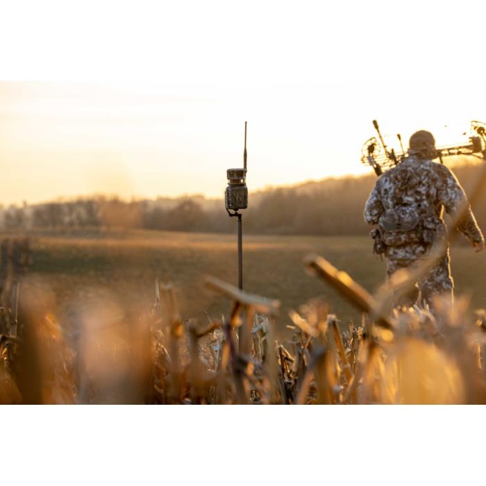 stealth_cam_360_2