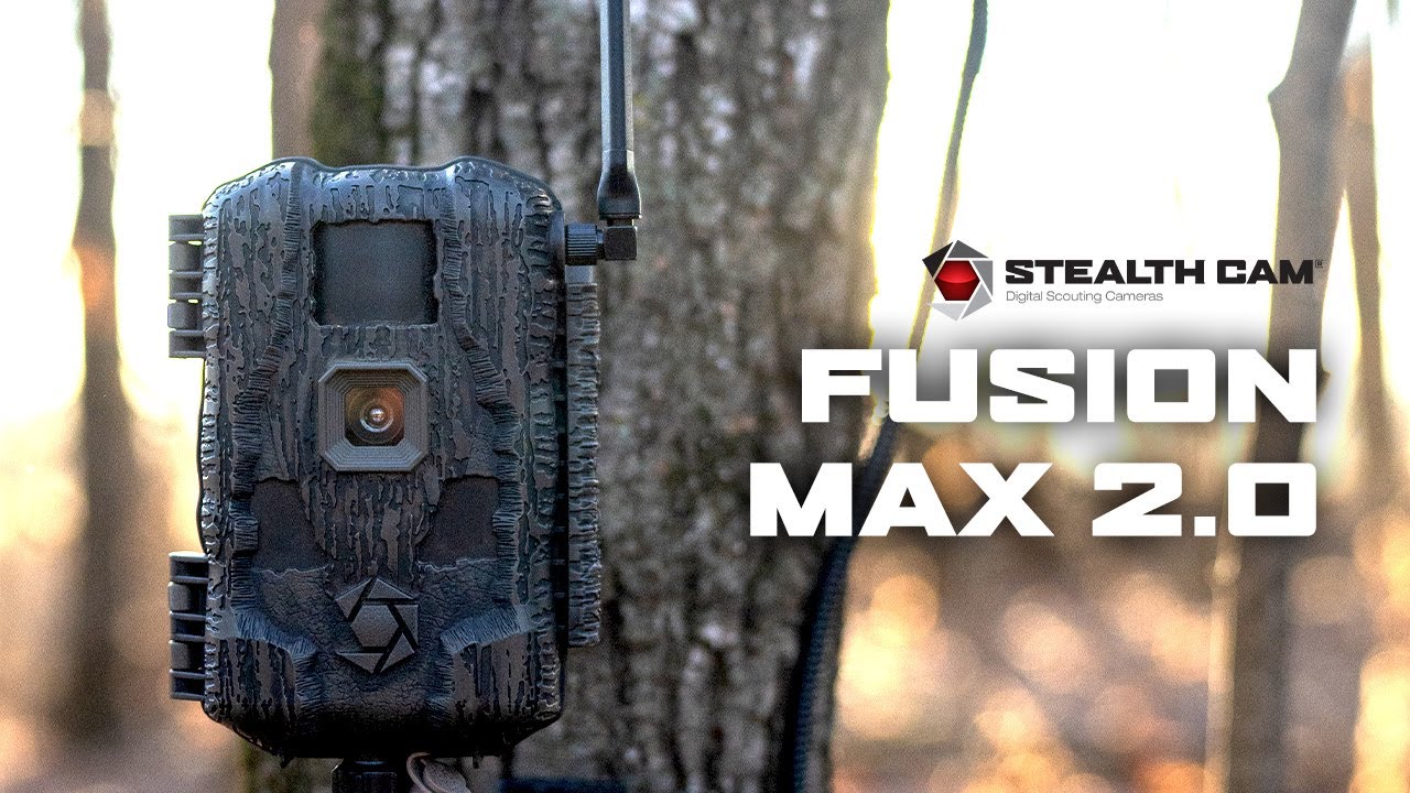 stealth_cam_fototrappola_ct441 f